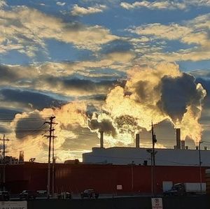 Meet your Posher, Peter